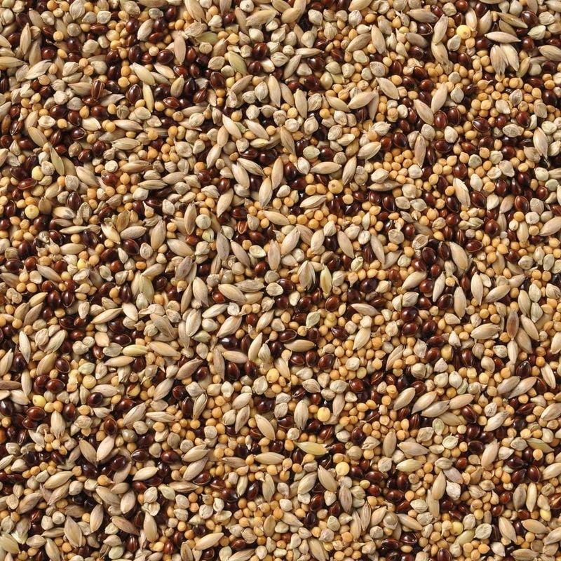 黒瀬ペットフード 国産小鳥の主食4種ブレンド 400g × 6個 セット 国産小鳥の主食4種ブレンド 400g × 6個 セット