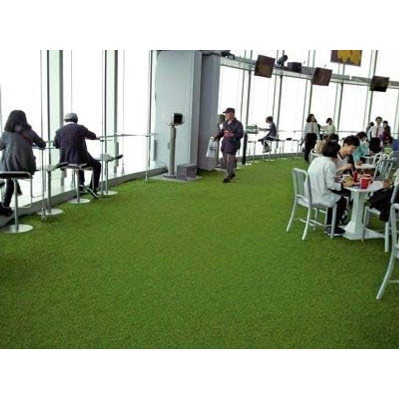 新作マット・カーペット 人工芝 リアリーターフ（パイル25mm）1m×10m 【FK1164803892】(41274円)