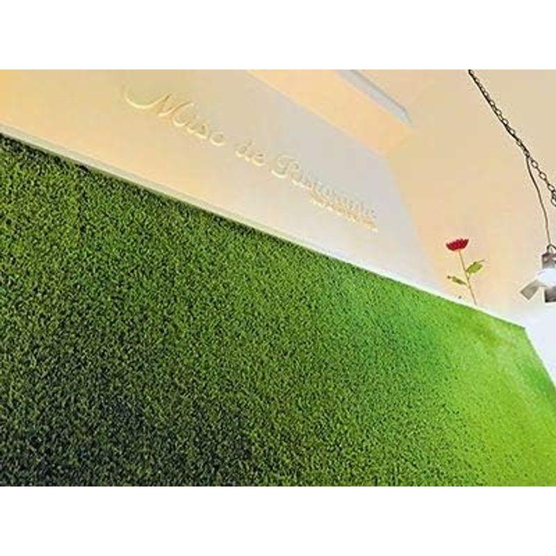 新作マット・カーペット 人工芝 リアリーターフ（パイル25mm）1m×10m 【FK1164803892】(41274円)