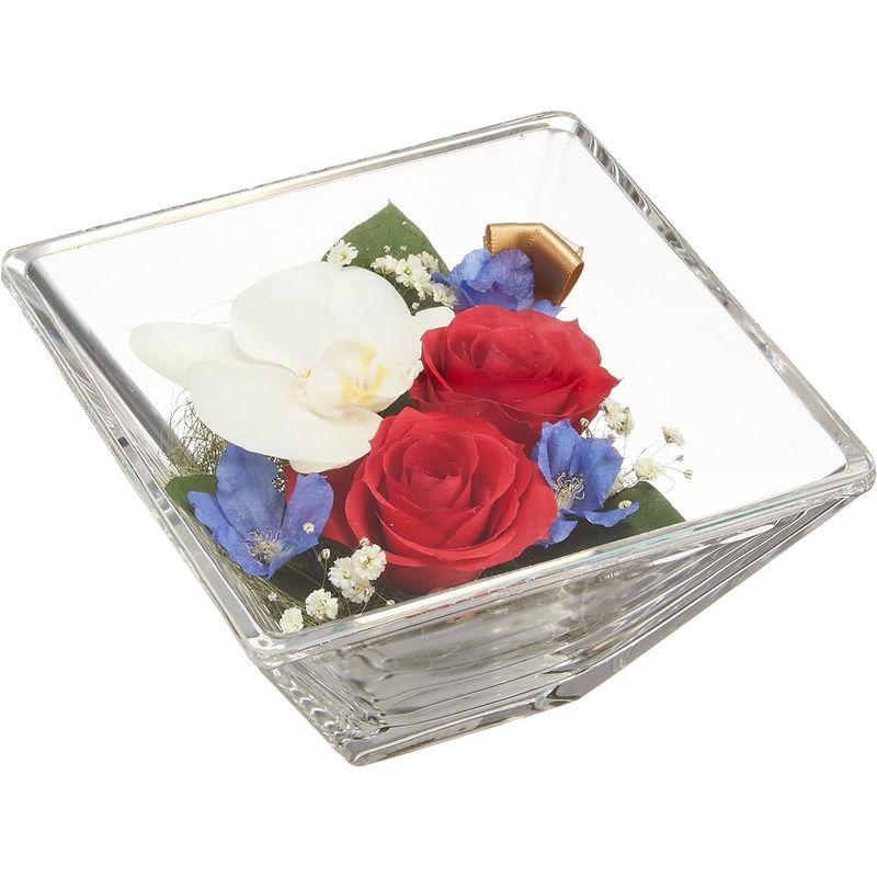 ブリスアンドヒル(Bliss&Hill) ドライフラワー ホワイト・レッド S JS-RK Bliss&Hill ドライフラワー ホワイト レッド JS RK サイズ