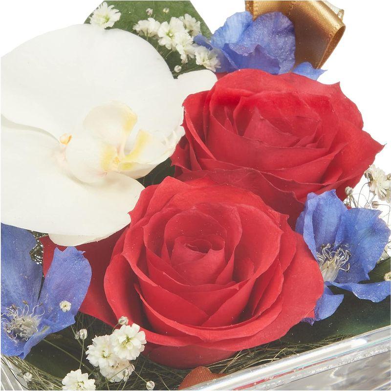 ブリスアンドヒル(Bliss&Hill) ドライフラワー ホワイト・レッド S JS-RK Bliss&Hill ドライフラワー ホワイト レッド JS RK サイズ