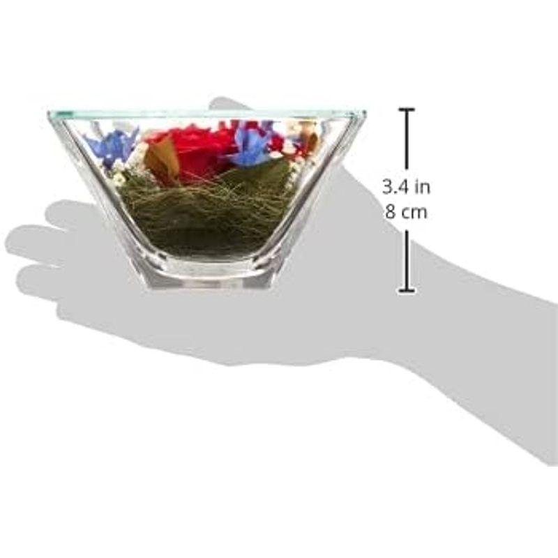 ブリスアンドヒル(Bliss&Hill) ドライフラワー ホワイト・レッド S JS-RK Bliss&Hill ドライフラワー ホワイト レッド JS RK サイズ