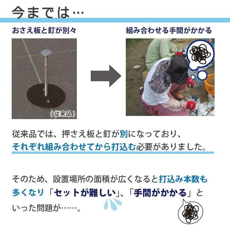 DAIM 防草シート押さえ 楽釘 長さ15cm・20cm 300本入 園芸 防草 雑草対策 防草シート ピン 釘押さえ おさえ ガーデニング 園芸 防草 雑草対策 防草シート ピン 釘押さえ おさえ ガーデニング 防草シート押さえ 楽釘 長さ15cm 20cm 300本入 　 サイズ 釘と押さえ板 パット すぐに作業に取り掛かれます！