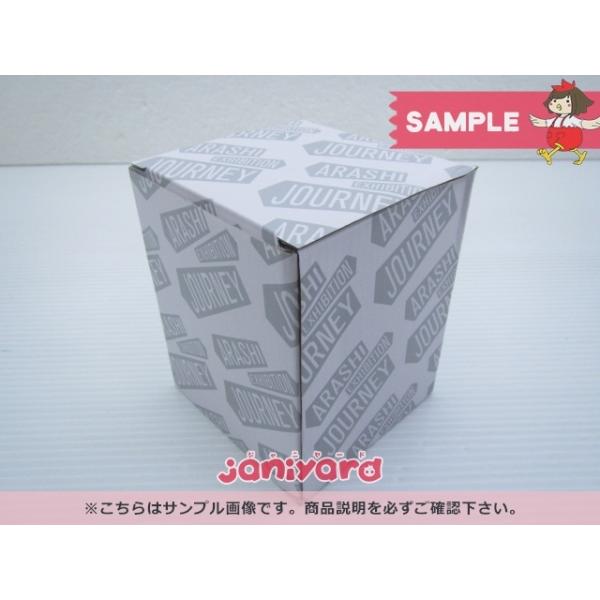 嵐 ARASHI EXHIBITION JOURNEY 嵐を旅する展覧会 スノードーム [美品