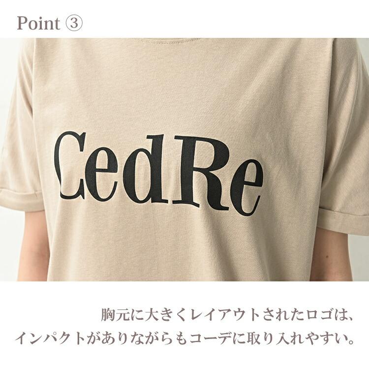 ロゴTシャツ 大きいサイズ レディース メール便送料350円 Uネック 半袖 接触冷感 UVカット トップス cotton100 M LL 3L 4L 5L｜janjam｜13