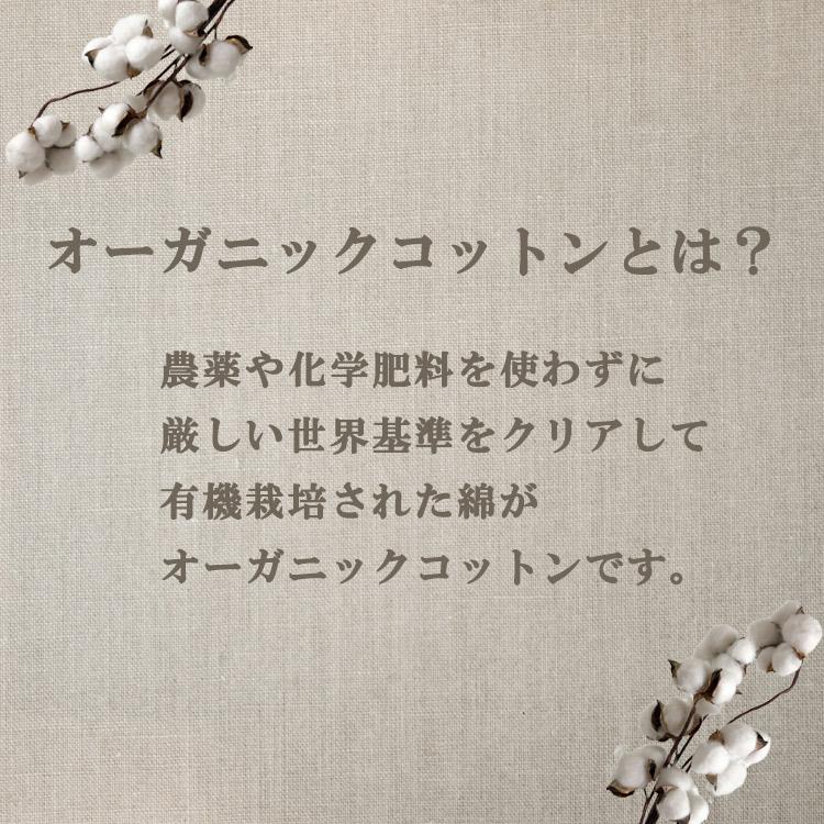 ロゴTシャツ 大きいサイズ レディース メール便送料350円 5分袖 オーガニックコットン トップス cotton100 M LL 3L 4L 5L | JANJAM | 10