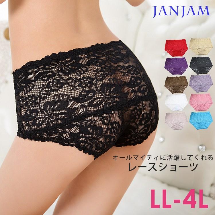 大きいサイズ レディース ショーツ メール便送料350円 総レース インナー Ll 3l 4l Ec All In0017 大きいサイズレディースjanjam 通販 Yahoo ショッピング