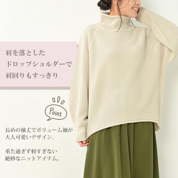 JANJAM セーター 大きいサイズ レディース 長袖 チャンキー JANJAM セーター 大きいサイズ レディース 長袖 チャンキー