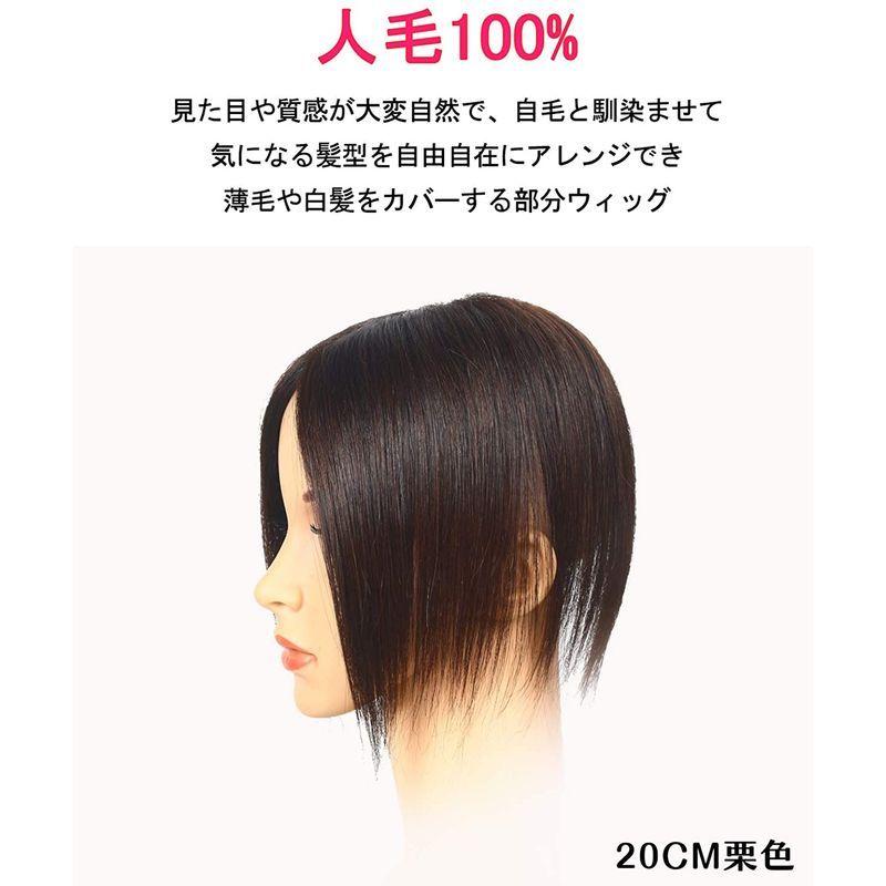 上質で快適 超リアルスキン 総手植え 白髪隠れ かつら ウイッグ 女性用 ヘアピース 部分ウィッグ Hiye 分け目専用 25c 栗色 カバーピース シャンプー Www Gatorheatandair Com