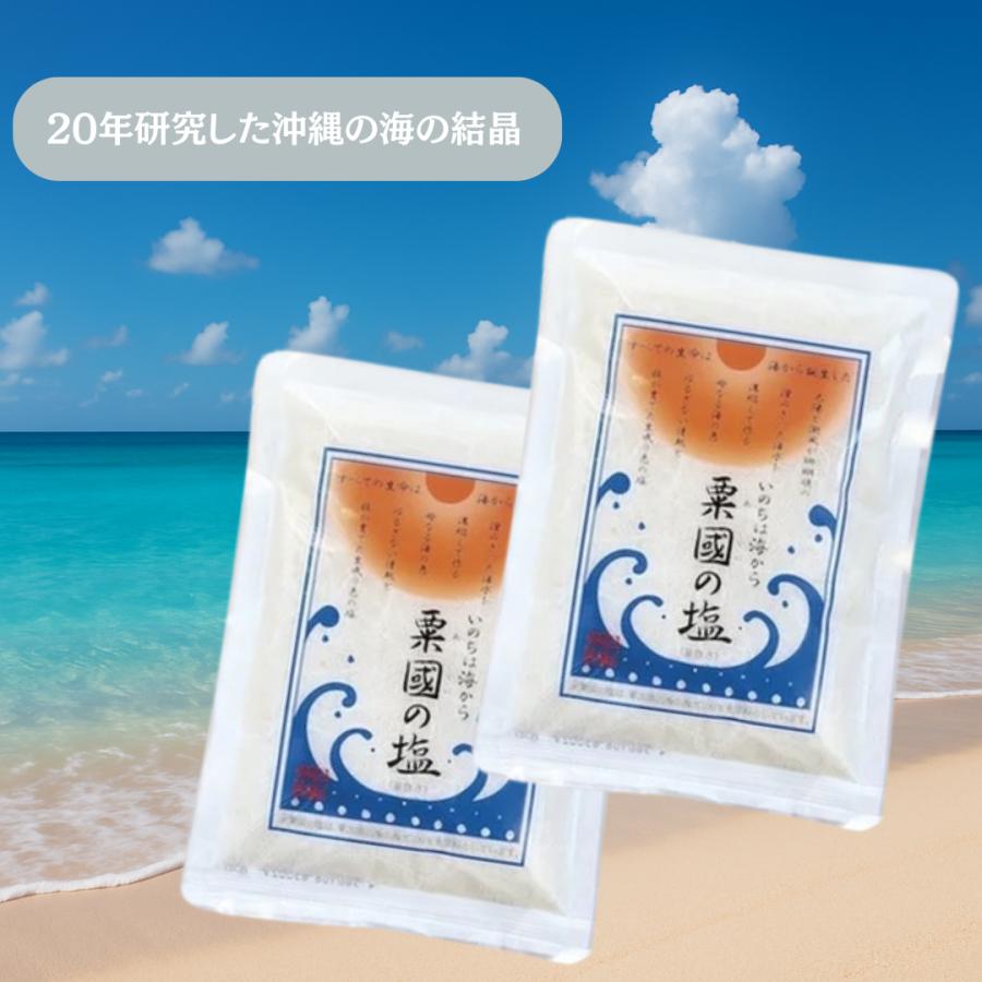 粟國の塩 粟国の塩 250g 天然塩 ミネラル豊富 沖縄塩 2個セット : 雀