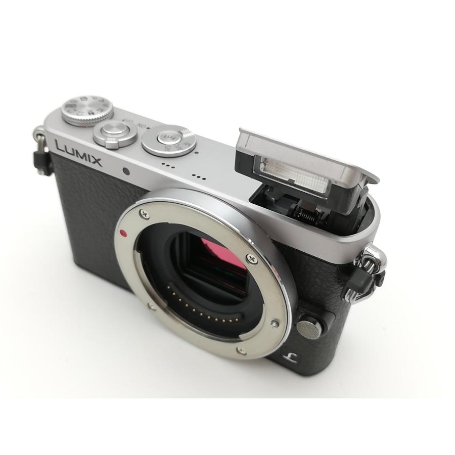 63%OFF!】【63%OFF!】Panasonic LUMIX GM1 標準ズームレンズキット DMC