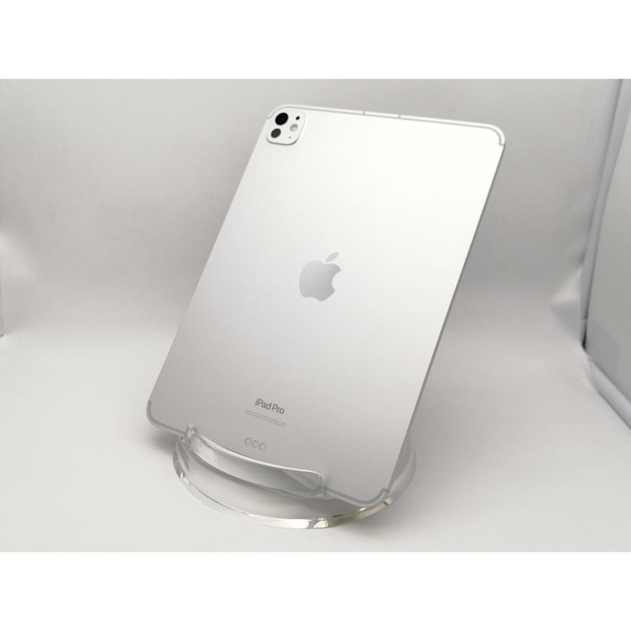 中古】国内版 【SIMフリー】 iPad Pro 11インチ（第5世代/M4