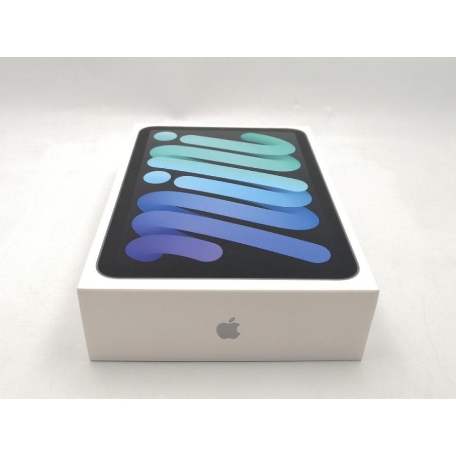 未使用】Apple 【Wi-Fi】 iPad mini（A17Pro/2024） 128GB スペース