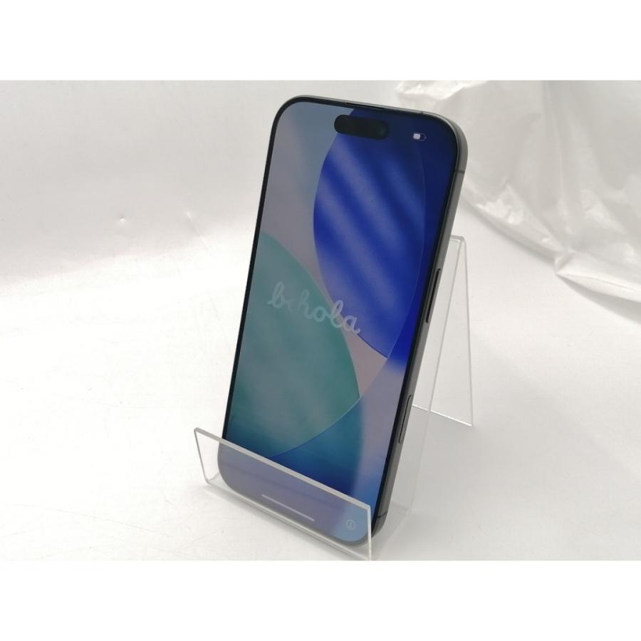 【未使用】Apple 国内版 【SIMフリー】 iPhone 17 256GB ブラック MG674J/A【ECセンター】保証期間３ヶ月の画像