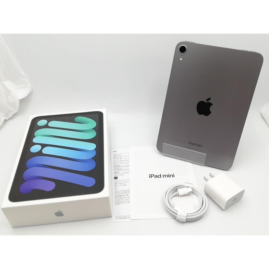 【中古】Apple 【Wi-Fi】 iPad mini（A17Pro/2024） 128GB スペースグレイ MXN63J/A【ECセンター】保証期間１ヶ月【ランクA】の画像