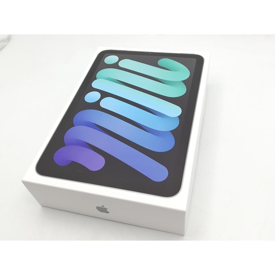 【未使用】Apple 【Wi-Fi】 iPad mini（A17Pro/2024） 128GB スペースグレイ MXN63J/A【ECセンター】保証期間６ヶ月の画像