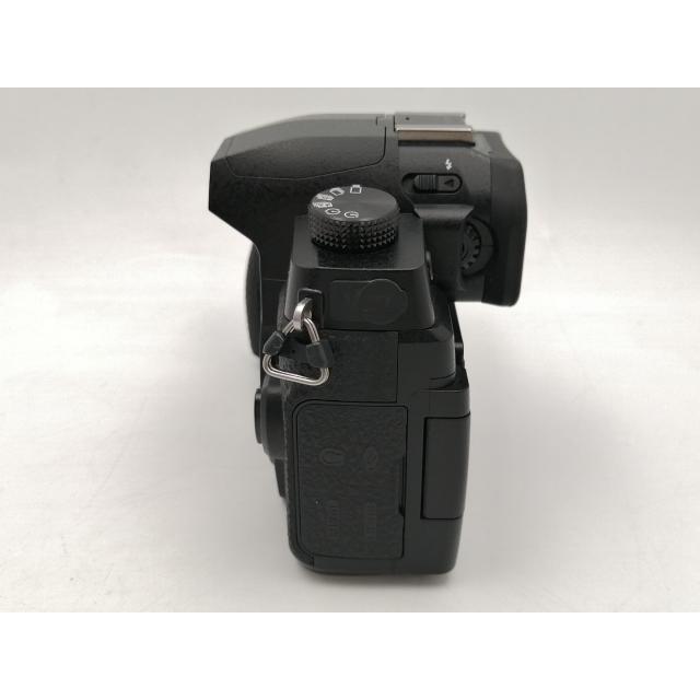 中古】Panasonic LUMIX G99 DC-G99-K ボディ ブラック【ECセンター 