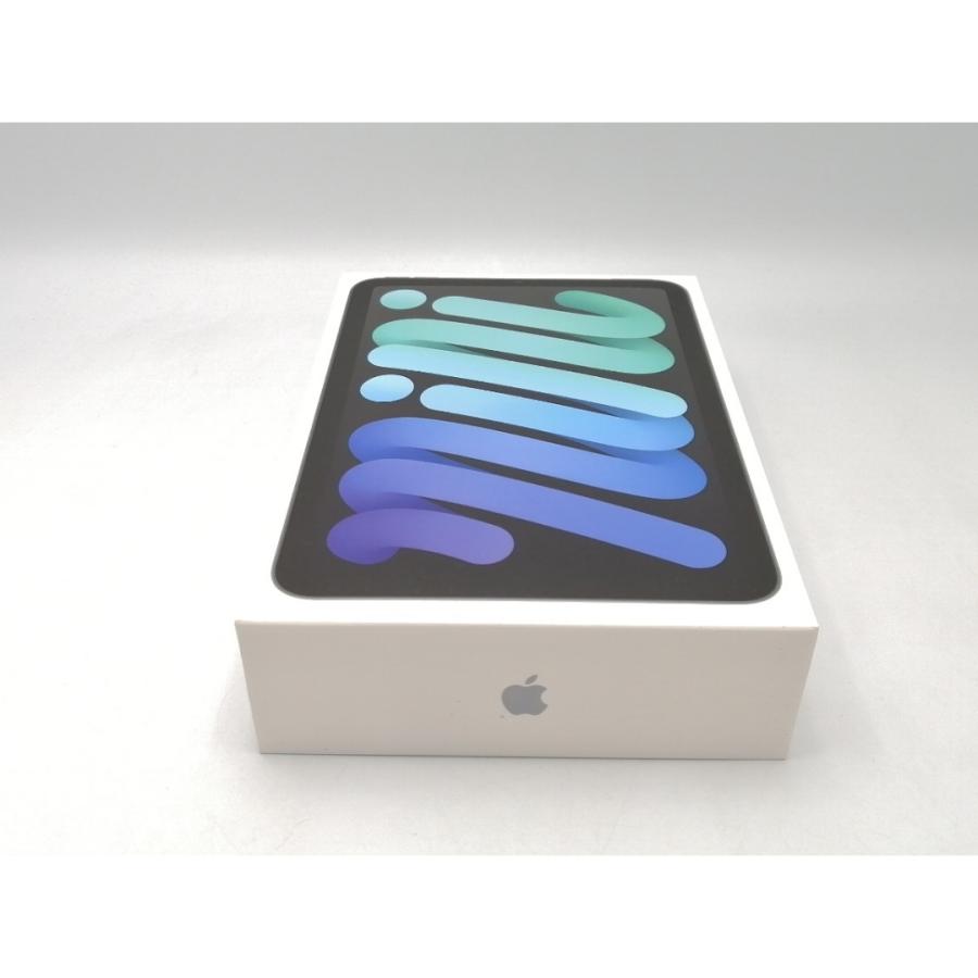 未使用】Apple 【Wi-Fi】 iPad mini（A17Pro/2024） 128GB スペース