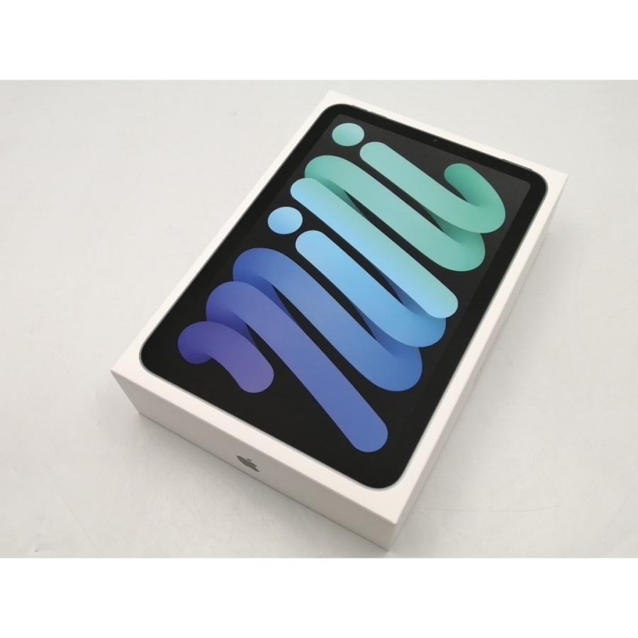 未使用】Apple 【Wi-Fi】 iPad mini（A17Pro/2024） 128GB スペース