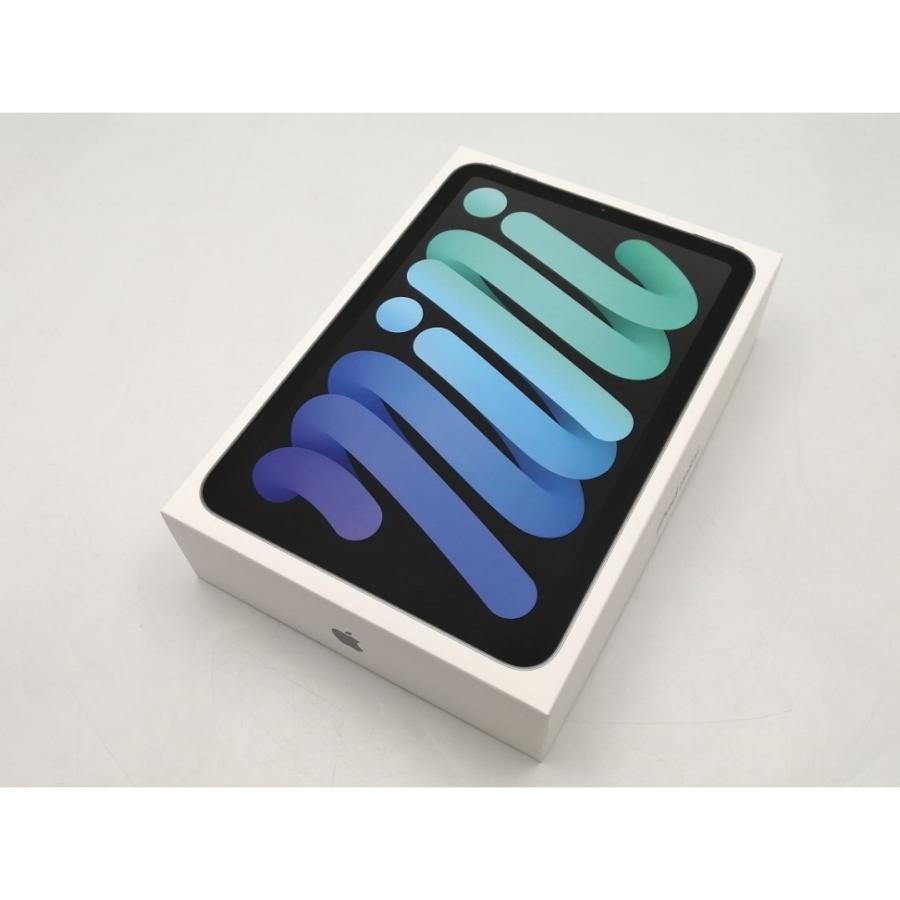 未使用】Apple 【Wi-Fi】 iPad mini（A17Pro/2024） 128GB スペース