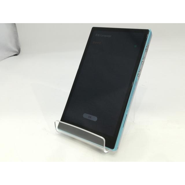 中古】FiiO JM21 FIO-JM21-L Blue【浜松駅前】保証期間1ヶ月【ランクA