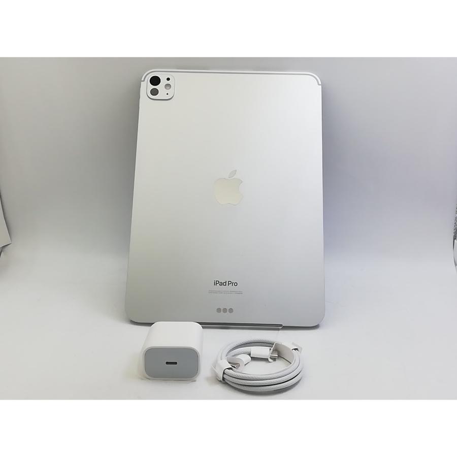 志*様 iPad Pro 11インチ 標準ガラス 256GB シルバー Apple iPad Pro【11インチ/第7世代/Wi-Fi/256GB/シルバー/標準ガラス