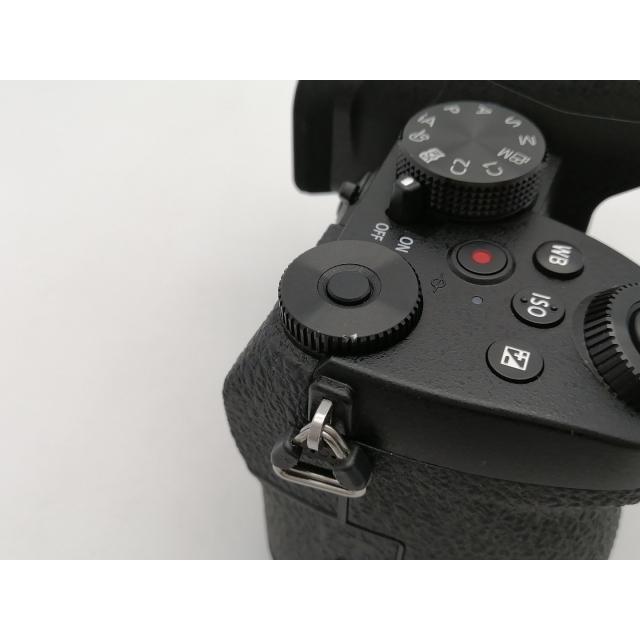 中古】Panasonic LUMIX G99 DC-G99H-K 標準ズームレンズキット
