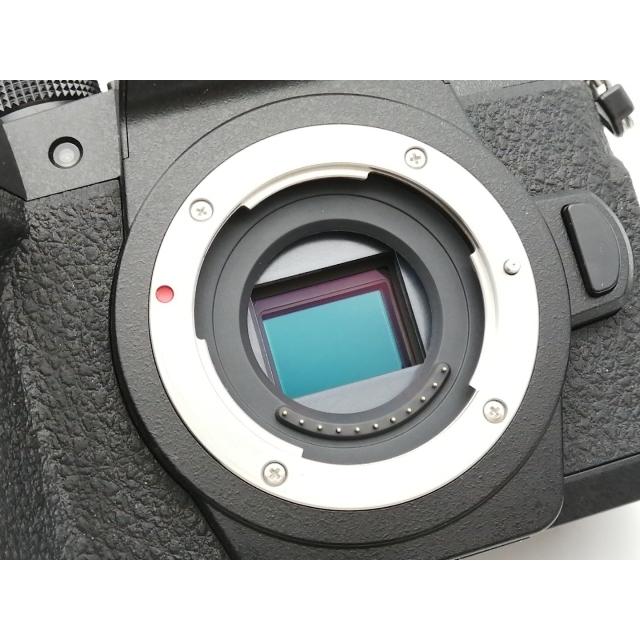 中古】Panasonic LUMIX G99 DC-G99H-K 標準ズームレンズキット