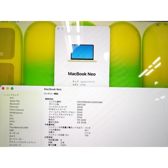 【中古】Apple MacBook Neo 13インチ A18 Pro(CPU:6C/GPU:5C) 8GB/256GB シトラス MHFD4J/A (13インチ,A18 Pro)【新宿2】保証期間１ヶ月【ランクA】の画像