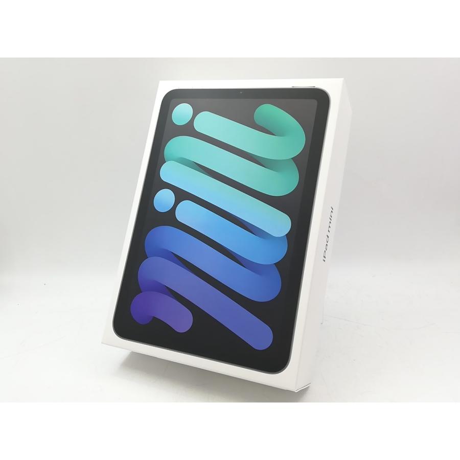 未使用】Apple 【Wi-Fi】 iPad mini（A17Pro/2024） 128GB スペース