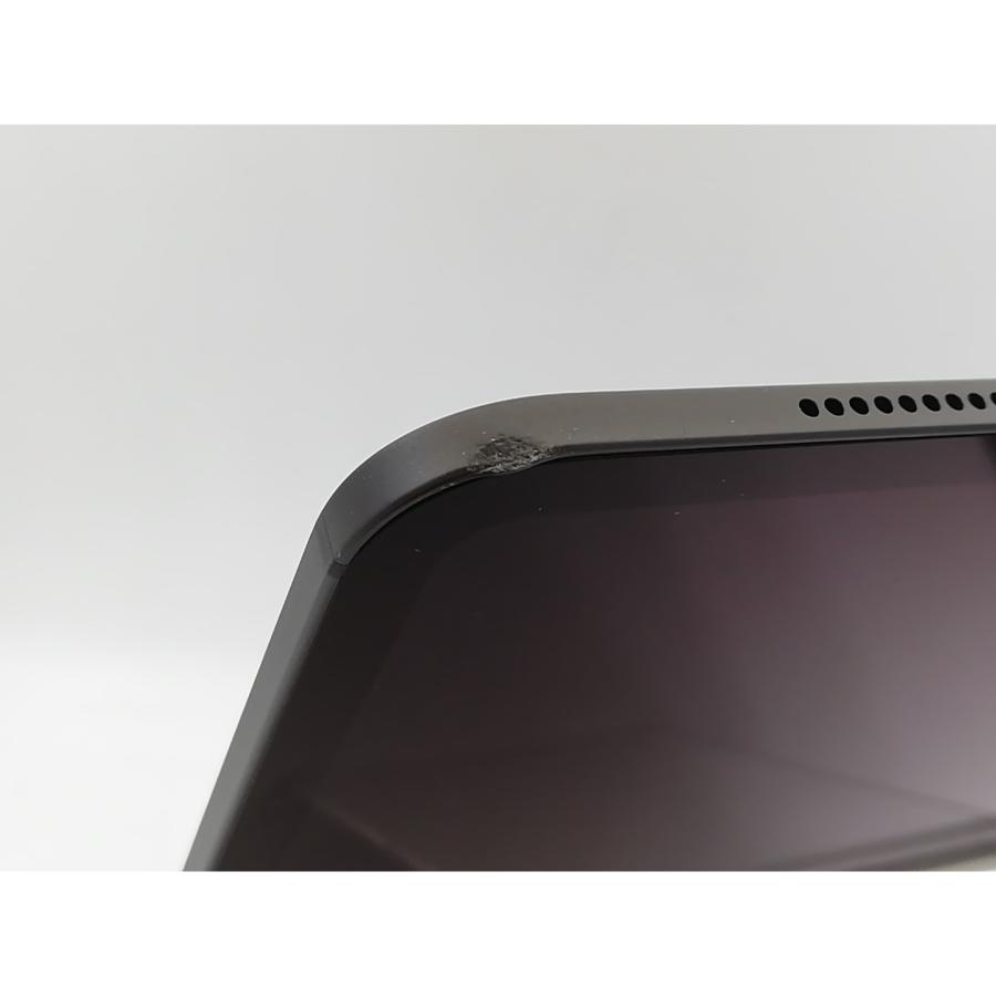 中古】Apple 【Wi-Fi】 13インチ iPad Pro（M4/2024） 1TB スペース