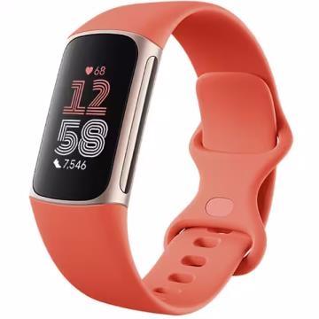 未使用】Fitbit Fitbit Charge 6 Coralバンド/ChampagneGold  