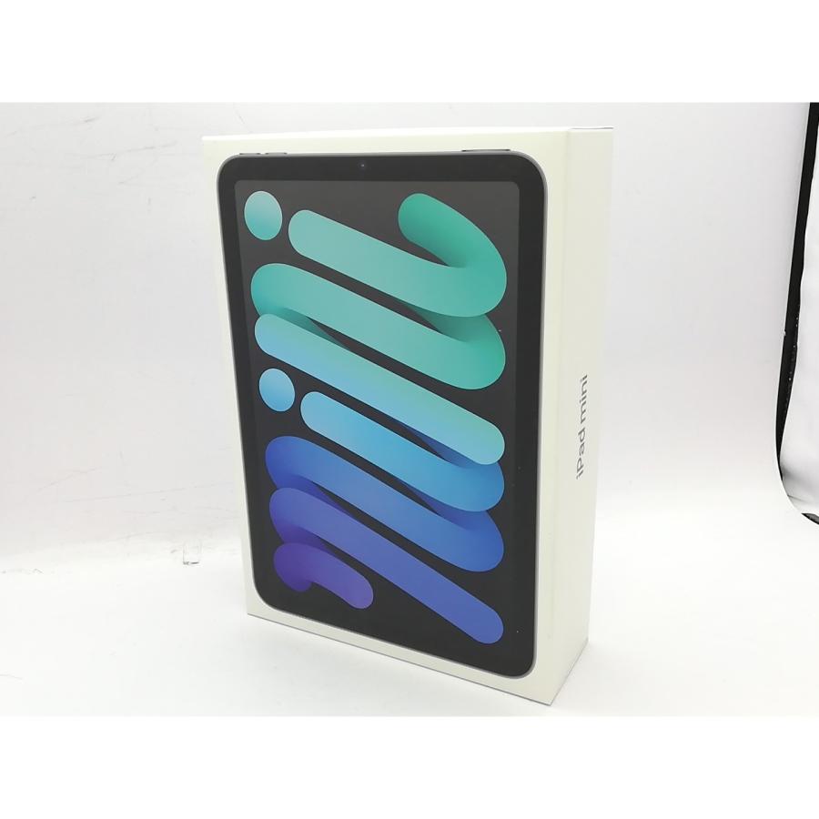 未使用】Apple 【Wi-Fi】 iPad mini（A17Pro/2024） 128GB スペース