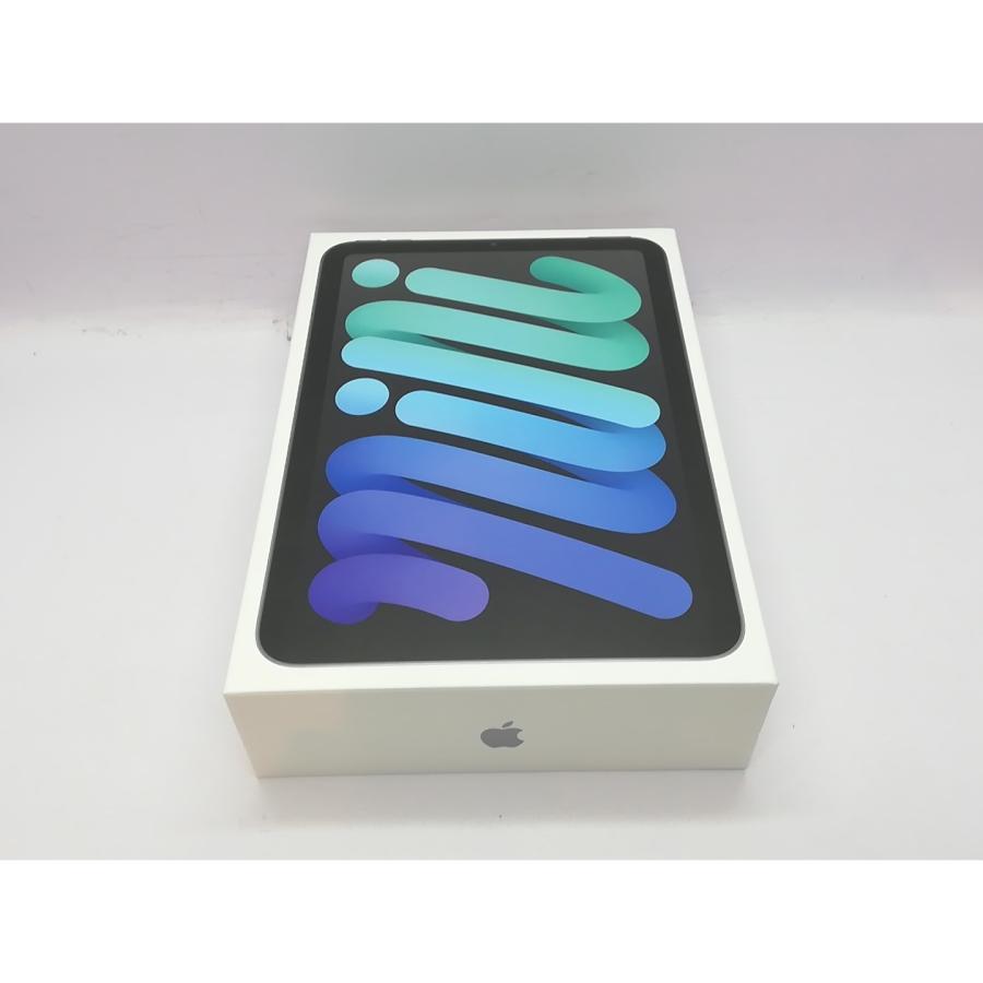 未使用】Apple 【Wi-Fi】 iPad mini（A17Pro/2024） 128GB スペース