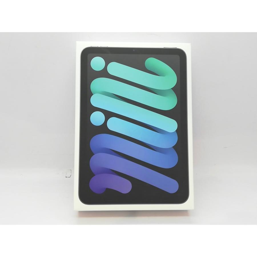 未使用】Apple 【Wi-Fi】 iPad mini（A17Pro/2024） 128GB スペース