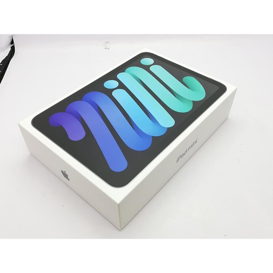 未使用】Apple 【Wi-Fi】 iPad mini（A17Pro/2024） 128GB スペース