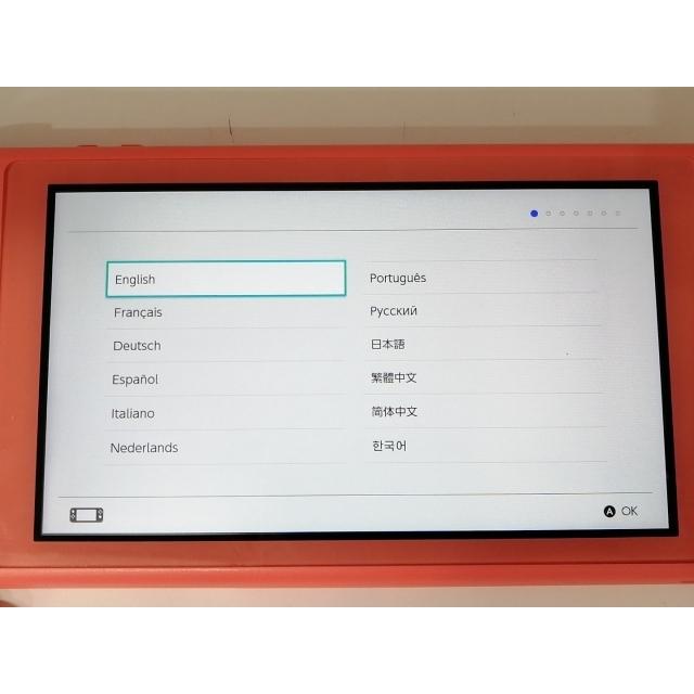 中古】Nintendo Switch Lite 本体 あつまれ どうぶつの森セット