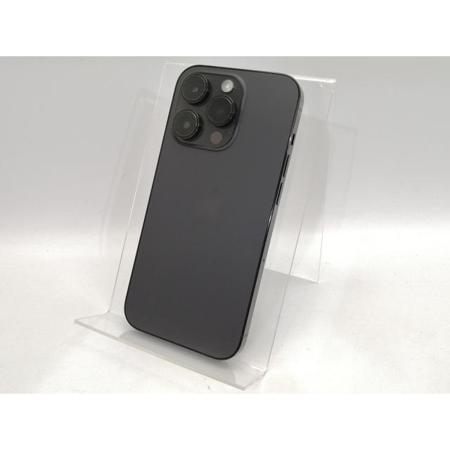 【即日発送】  【221039899-231】 限定デザイン