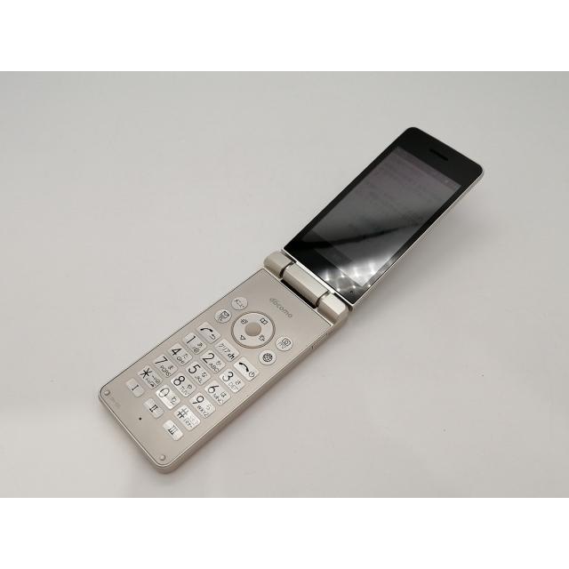 中古】SHARP docomo 【SIMロック解除済み】 AQUOS ケータイ SH-02L