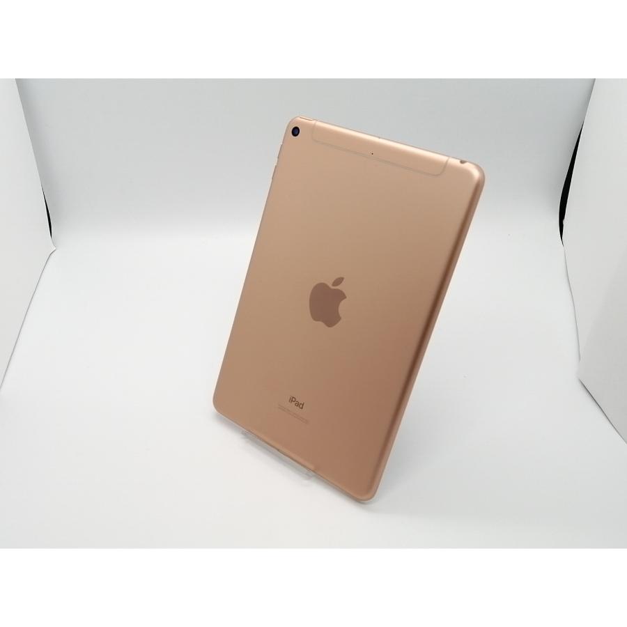 中古】Apple 国内版 【SIMフリー】 iPad mini（第5世代/2019） 64GB 