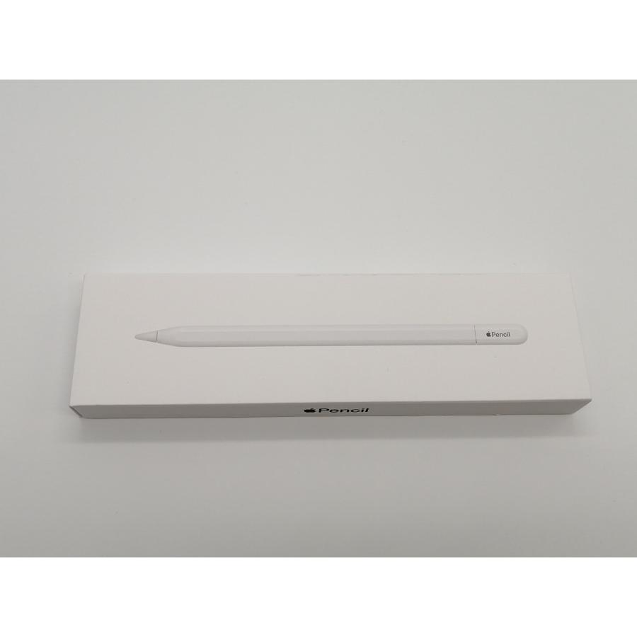 【未使用】Apple Apple Pencil（USB-C） MUWA3ZA/A【小倉駅前】保証期間１週間_1