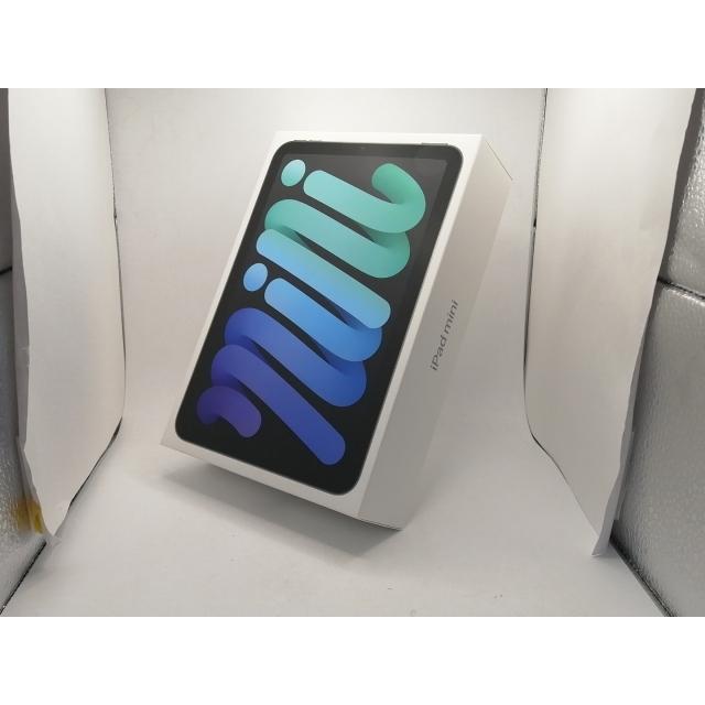 未使用】Apple 【Wi-Fi】 iPad mini（A17Pro/2024） 128GB スペース