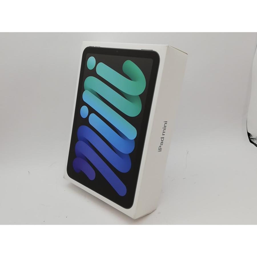 未使用】Apple 【Wi-Fi】 iPad mini（A17Pro/2024） 128GB スペース
