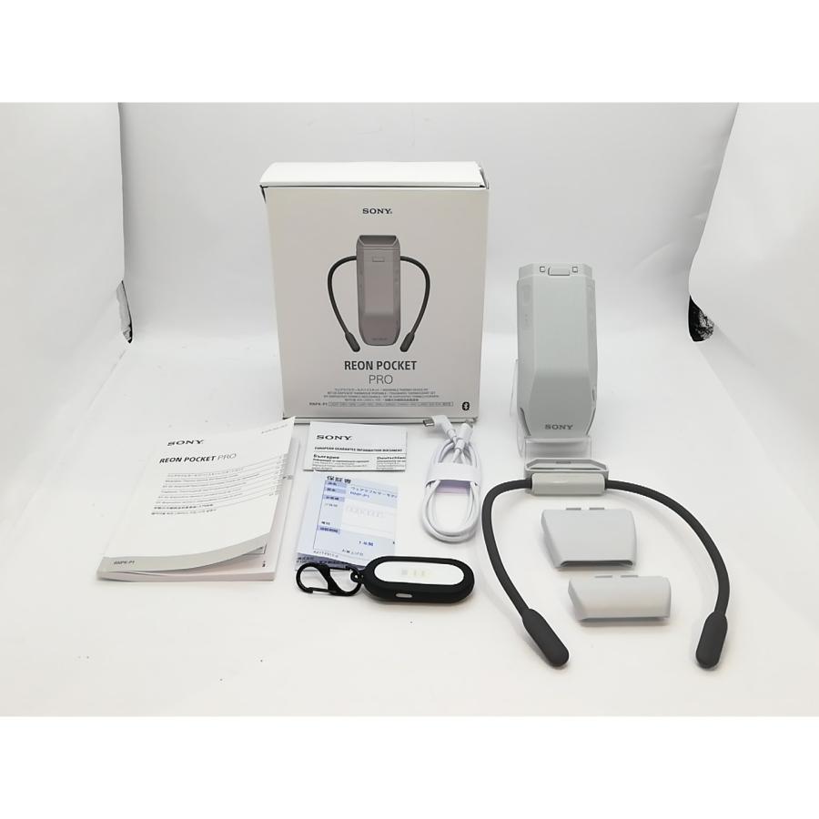 中古】SONY REON POCKET (レオンポケット) PRO RNPK-P1 [ライトグレー