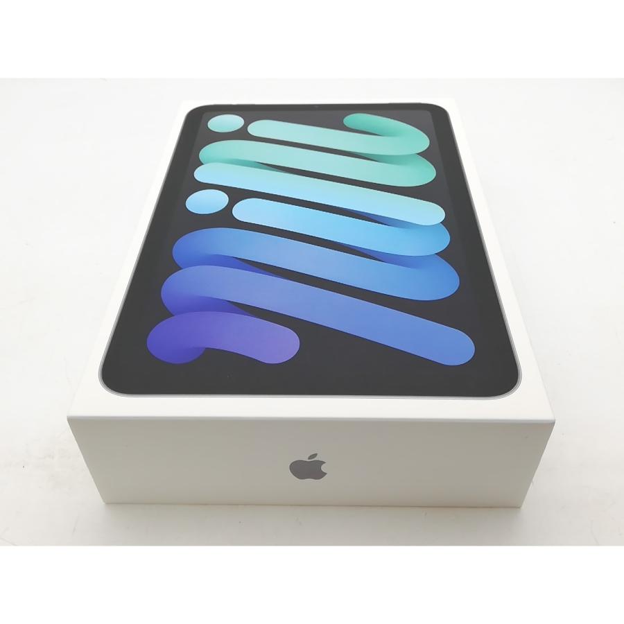 【未使用】Apple 国内版 【SIMフリー】 iPad mini（A17Pro/2024） 256GB スペースグレイ MXPT3J/A【柏】保証期間６ヶ月の画像