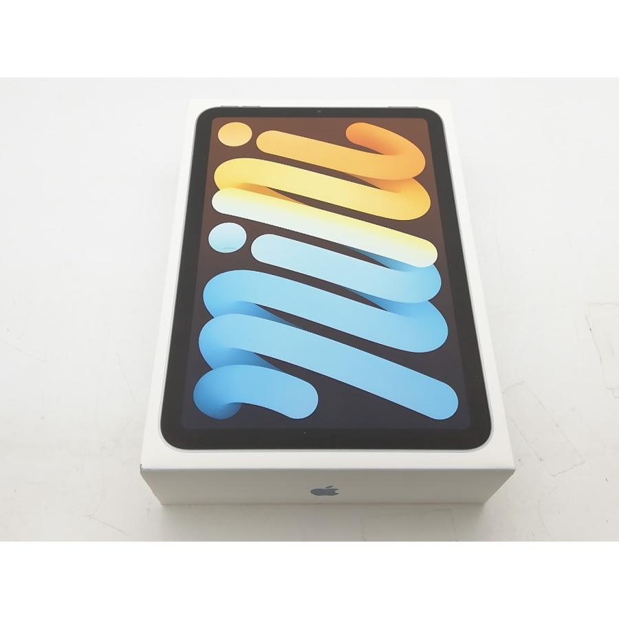 未使用】Apple 【Wi-Fi】 iPad mini（A17Pro/2024） 128GB ブルー
