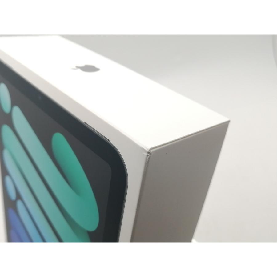 未使用】Apple 【Wi-Fi】 iPad mini（A17Pro/2024） 256GB スペース