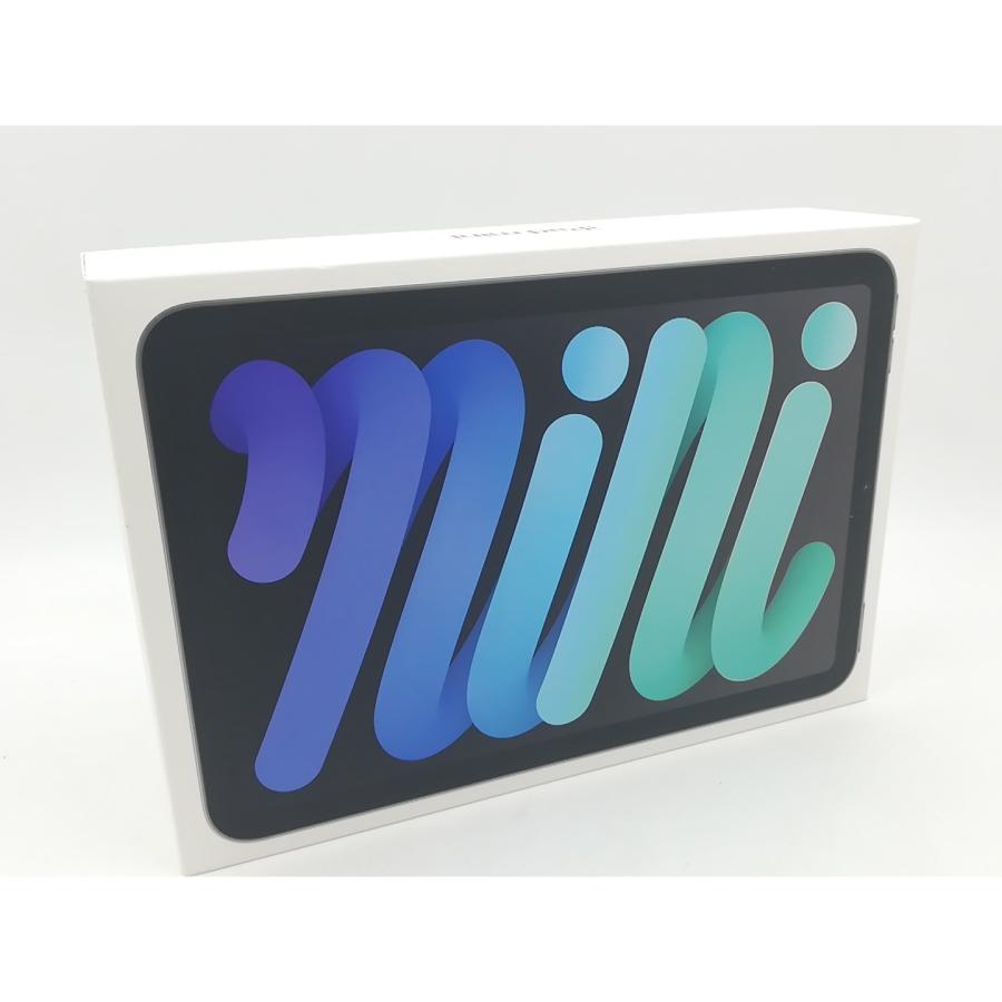 未使用】Apple 【Wi-Fi】 iPad mini（A17Pro/2024） 128GB スペース