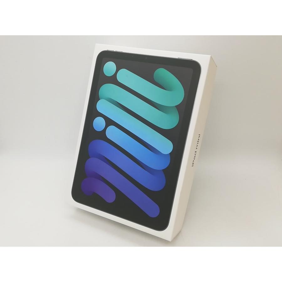 【未使用】Apple 【Wi-Fi】 iPad mini（A17Pro/2024） 128GB スペースグレイ MXN63J/A【秋葉4号】保証期間６ヶ月の画像