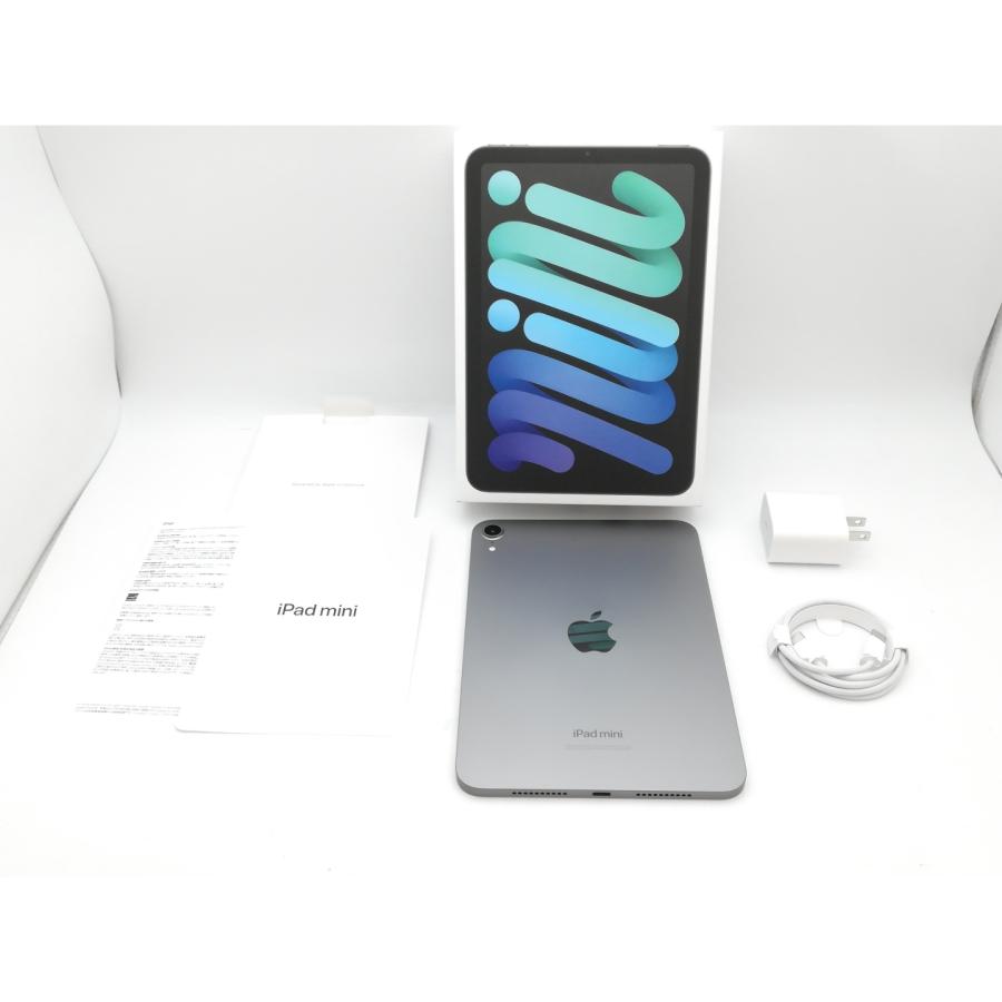 中古】Apple iPad mini （第7世代/2024） Wi-Fiモデル 128GB スペース